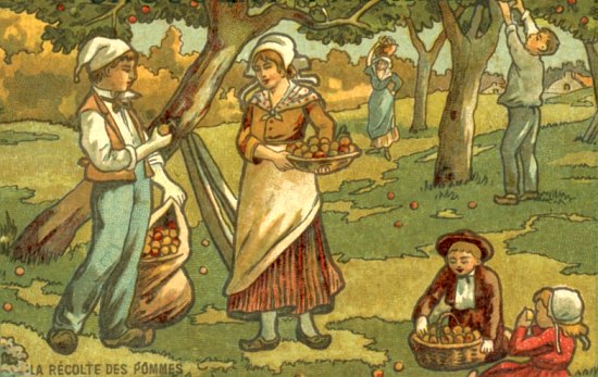La récolte des pommes. Chromolithographie du XXe siècle