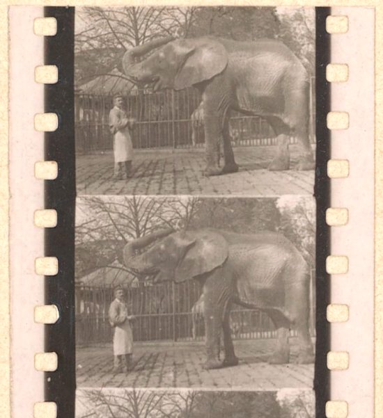 Paper-print du film Le Repas de l'Éléphant du Jardin des Plantes (1897)