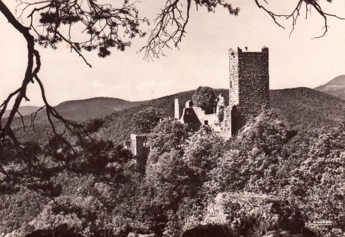 Ruines du château de Saint-Ulrich, à Ribeauvillé