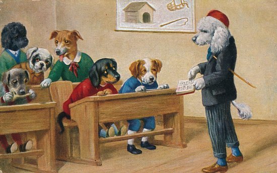 Carte humoristique : chiens humanisés dans une salle de classe