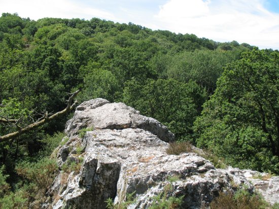 Le site de Saut-Roland (Dompierre-du-Chemin)