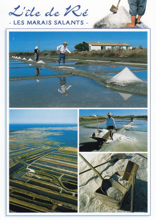 Marais salants de l'île de Ré (Charente-Maritime)