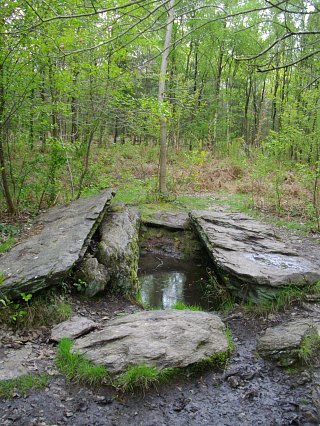 Lieu appelé Tombeau du Géant dans la forêt de Brocéliande Lieu appelé Tombeau du Géant dans la forêt de Brocéliande
