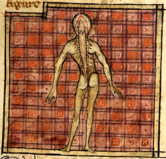 Figure anatomique : écorché, le dos ouvert, montrant le cerveau et la moëlle épinière. Enluminure extraite du manuscrit français n°2030 de la BnF écrit en 1314 et contenant la Cyrurgie de maistre Henri de Mondeville ainsi que Chapitre de la doctrine artificielle de faire incisions