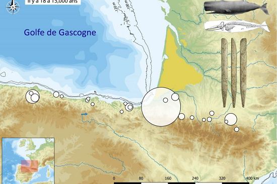 Distribution géographique des objets fabriqués en os de baleine autour du Golfe de Gascogne à la fin de la dernière glaciation