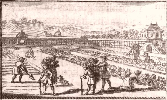 L'automne (le labour de la terre et la récolte des légumes). Détail de la gravure représentant les quatre saisons et placée en tête de la sixième partie d'Instruction pour les jardins fruitiers et potagers (Tome 2) de Jean-Baptiste de La Quintinie publié en 1690