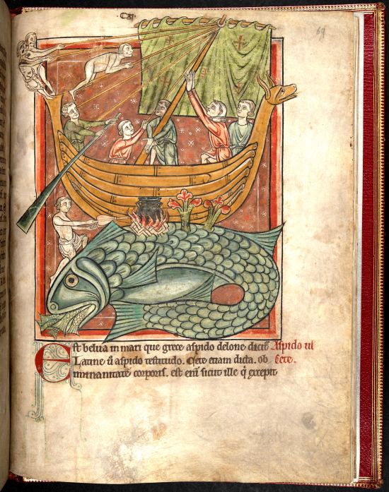 Bestiaire, avec des extraits de Gérald de Galles, Topographia Hibernica (fin du XIIe siècle - début du XIIIe siècle)