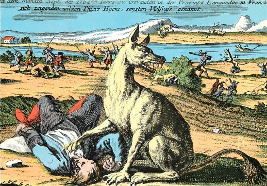 La bête du Gévaudan. Détail d'une estampe allemande de 1765 (colorisée ultérieurement)