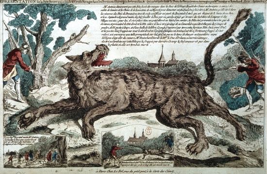 Bête du Gévaudan : le monstre est abattu. Illustration de 1765 parue dans le Recueil Magné de Marolles