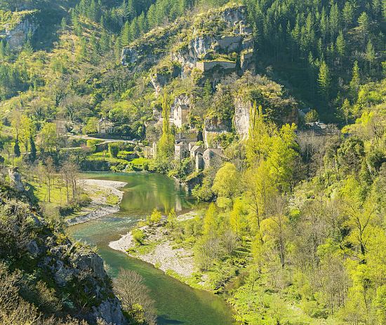 Castelbouc, en Lozère. Au Jurassique moyen, on était ici au bord d'une lagune bordée de conifères