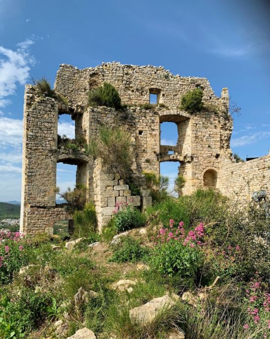 Ruines du Château du Castellas à Forcalqueiret (Var)
