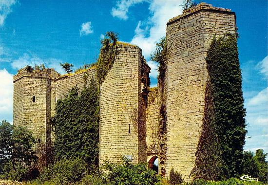 Ruines du château de Montfort (Côte-d'Or)