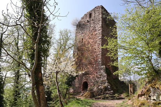 Donjon du château du Nideck