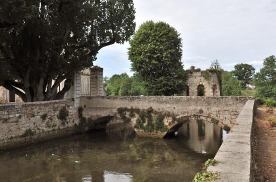 Château de Rogé (Villeneuve-sur-Lot). Fossé est