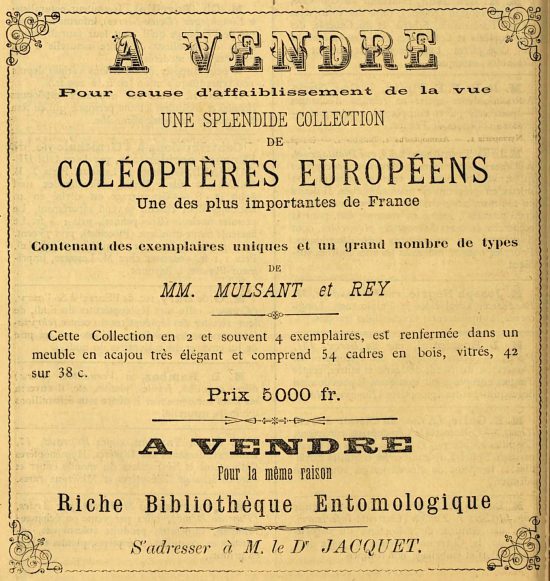 Annonce parue dans le numéro du 13 octobre 1885 de L'Échange et relative à la mise en vente par Claudius Rey de sa collection de coléoptères européens « pour cause d'affaiblissement de la vue » et de sa bibliothèque entomologique
