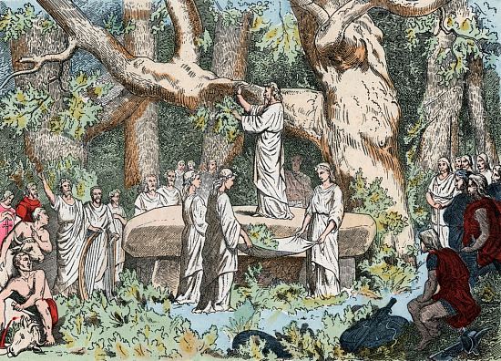 Cueillette du gui par les druides en Gaule. Gravure de la fin du XIXe siècle
