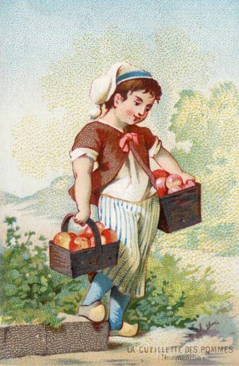 Cueillette des pommes. Chromolithographie du début du XXe siècle