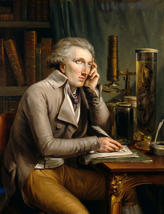 Georges Cuvier dans son cabinet d'Anatomie comparée par Mathieu-Ignace Van Brée (1773-1839)