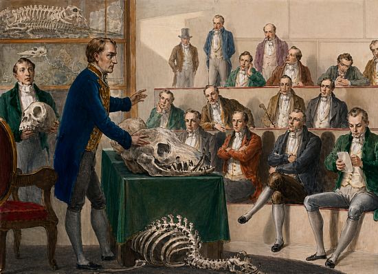 Georges Cuvier donne des conférences sur la paléontologie au Muséum d'Histoire naturelle de Paris. Gravure réalisée d'après le dessin d'Albert Chéreau