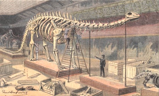 Fossile du diplodocus du Muséum national d'histoire naturelle. Illustration parue dans Le Petit Parisien du 10 mai 1908