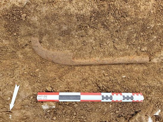Émondoir en cours de dégagement dans le fossé d'enclos bordant les cultures