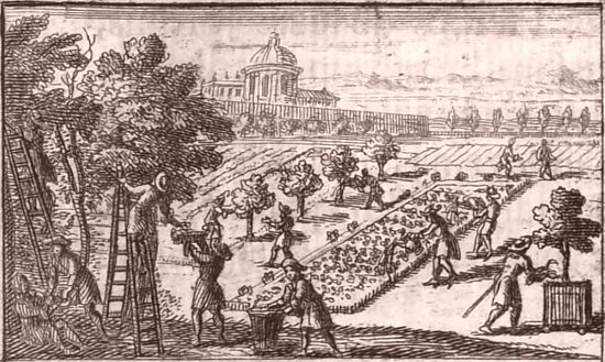 L'été (la récolte des fruits et irrigation). Détail de la gravure représentant les quatre saisons et placée en tête de la sixième partie d'Instruction pour les jardins fruitiers et potagers (Tome 2) de Jean-Baptiste de La Quintinie publié en 1690