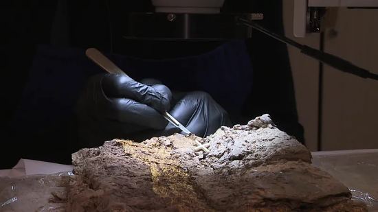 Le but des chercheurs est de deviner la nature de l'étoffe