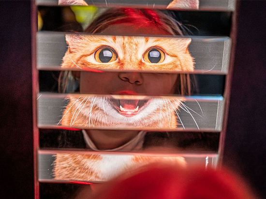 Exposition Chiens et chats