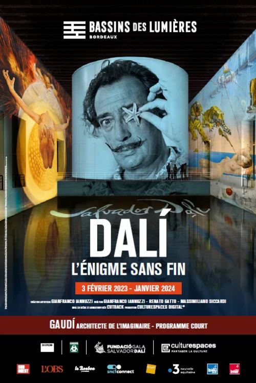 Affiche de l'exposition Dali, l'énigme sans fin