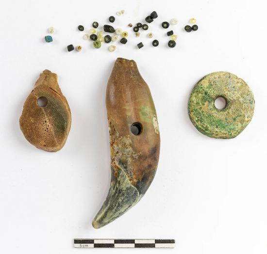 Collier d'amulettes déposé près de la tête d'un nourrisson inhumé (0-1 an), composé d'une canine d'ours en position centrale, encadrée d'une rondelle sciée dans un bois de cervidé d'un côté et d'une rondelle en alliage cuivreux de l'autre, et de grains de collier en verre de différentes teintes qui devaient en partie séparer ces éléments. Ier s., nécropole des Berges de la Robine, Narbonne (SF17956)