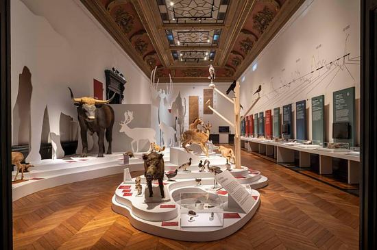 Exposition La Somme des Préhistoires, au musée de Picardie