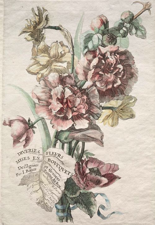 Roses trémières et narcisses, par Jacques Bailly (vers 1670)