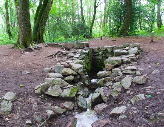 Fontaine de Baranton, dans la forêt de Paimpont