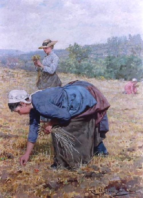 Les glaneuses. Peinture de Charles Le Blanc Bellevaux (dernier quart du XIXe siècle)