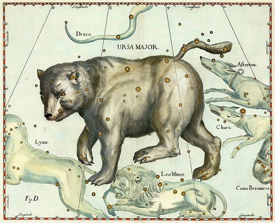 La Grande Ourse. Gravure extraite d'Uranometria, atlas des constellations réalisé par l'astronome allemand Johann Bayer et publié en 1603