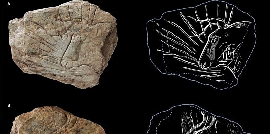 Des gravures vieilles de 14 000 ans découvertes en Bretagne