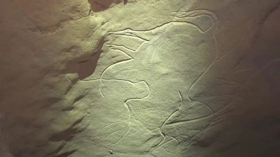 Un des animaux gravé dans la roche de la grotte