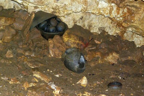 Lot de poteries de la fin de l'âge du Bronze associé à une sépulture