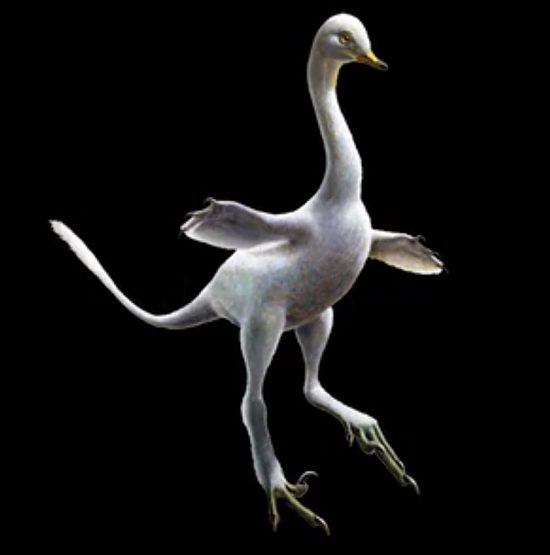 Halszkaraptor escuilliei : premier dinosaure semi-amphibie jamais découvert