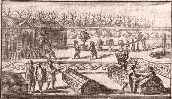 L'hiver (des plantes élevées en serres). Détail de la gravure représentant les quatre saisons et placée en tête de la sixième partie d'Instruction pour les jardins fruitiers et potagers (Tome 2) de Jean-Baptiste de La Quintinie publié en 1690