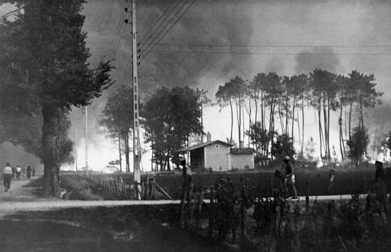 Photo prise lors de l'incendie du 22 août 1949, dans la forêt des Landes