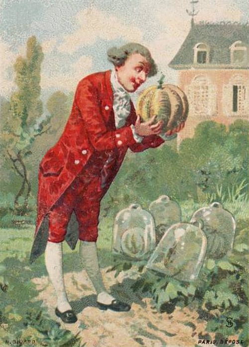 Le jardin potager. Chromolithographie du XIXe siècle