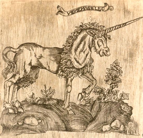 La licorne. Gravure extraite de Histoire de la nature, chasse, vertus, propriétez et usage de la lycorne, par Laurent Catelan (1624)