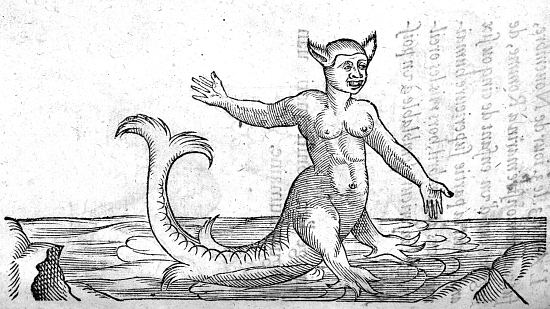 Image d'un monstre marin ayant figure humaine. Gravure extraite de Des monstres et prodiges (Second Livre des Deux livres de chirurgie), par Ambroise Paré (1573), avec la légende : L'an 1523, le 3e jour de novembre, fut vu ce monstre marin à Rome, de la grandeur d'un enfant de cinq ou six ans, ayant la partie supérieure humaine jusqu'au nombril, hormis les oreilles, et l'inférieure semblable à un poisson