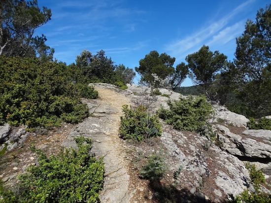 Sur le chemin menant à l'antre de la Raphagnaude, au sein de la montagne de Mornas