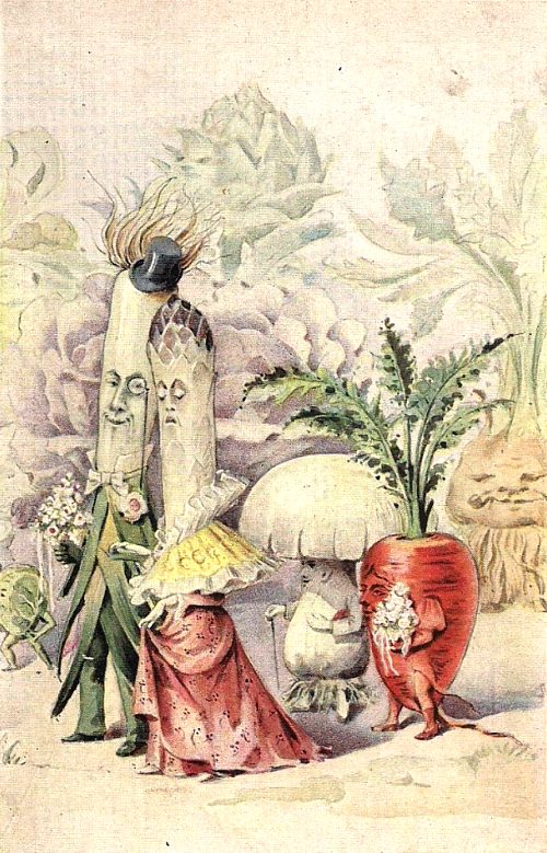 Noce de légumes : les demoiselles et garçons d'honneur. Chromolithographie du début du XXe siècle