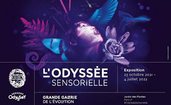 L'Odyssée sensorielle au Muséum national d'histoire naturelle