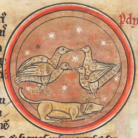 Chien qui se tapit en dessous de quatre perdrix. Enluminure extraite de A bestiary with additions from Gerald of Wales's Topographia Hibernica de 1230-1240 (manuscrit n°4751 de la British Library)