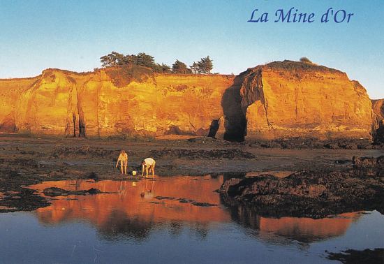 Les falaises de micaschiste et d'argile de la plage de la Mine d'Or