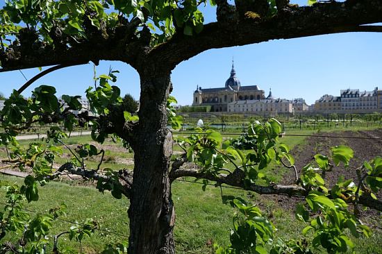 Potager du Roi à Versailles